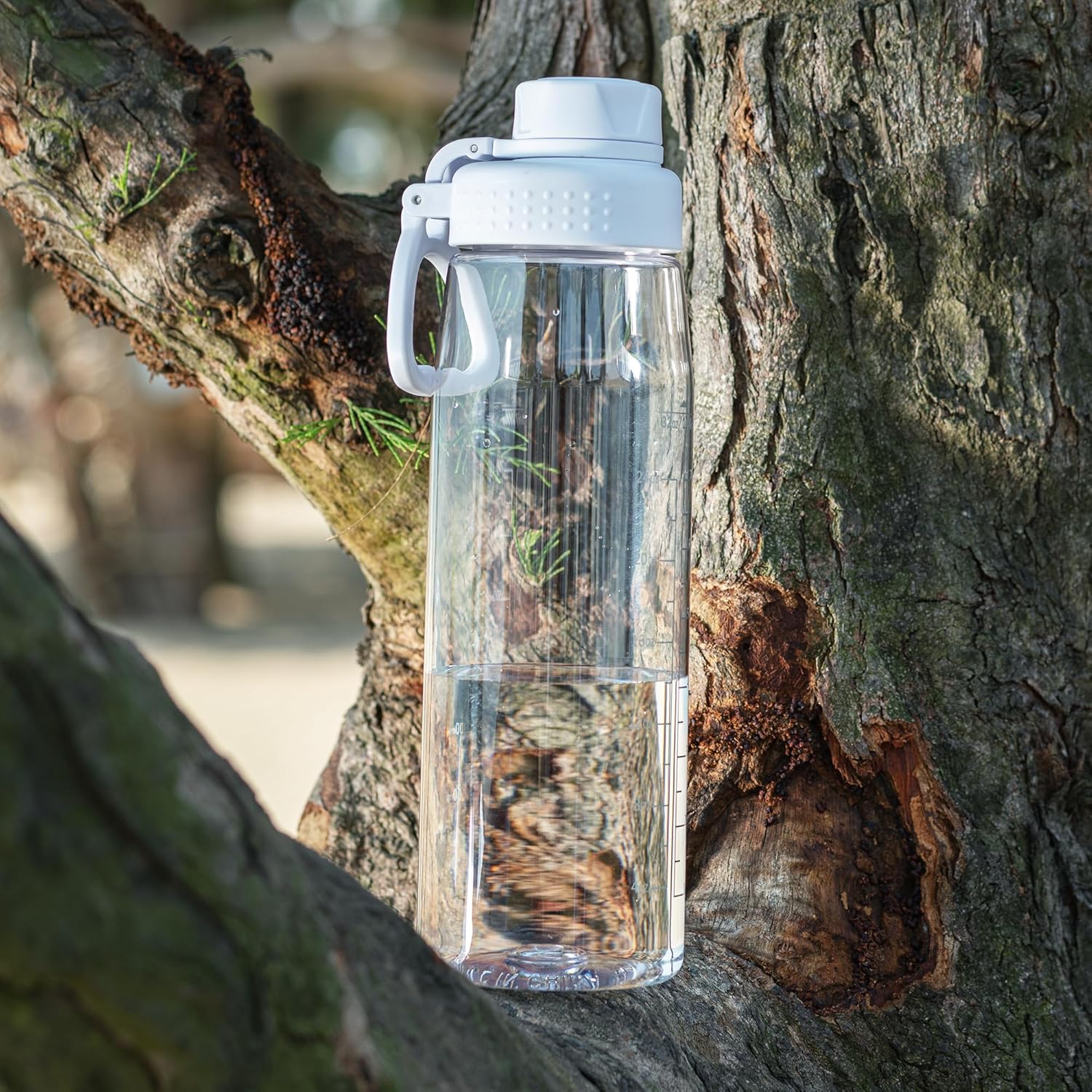 Water Bottle 32oz, clear water bottle with Spout Lid and Carry Handle, Reusable, Tritan, BPA Free, Hiking Water Bottle Suitable for Travel, Outdoors, Gym, Travel, Home, School (Clear)